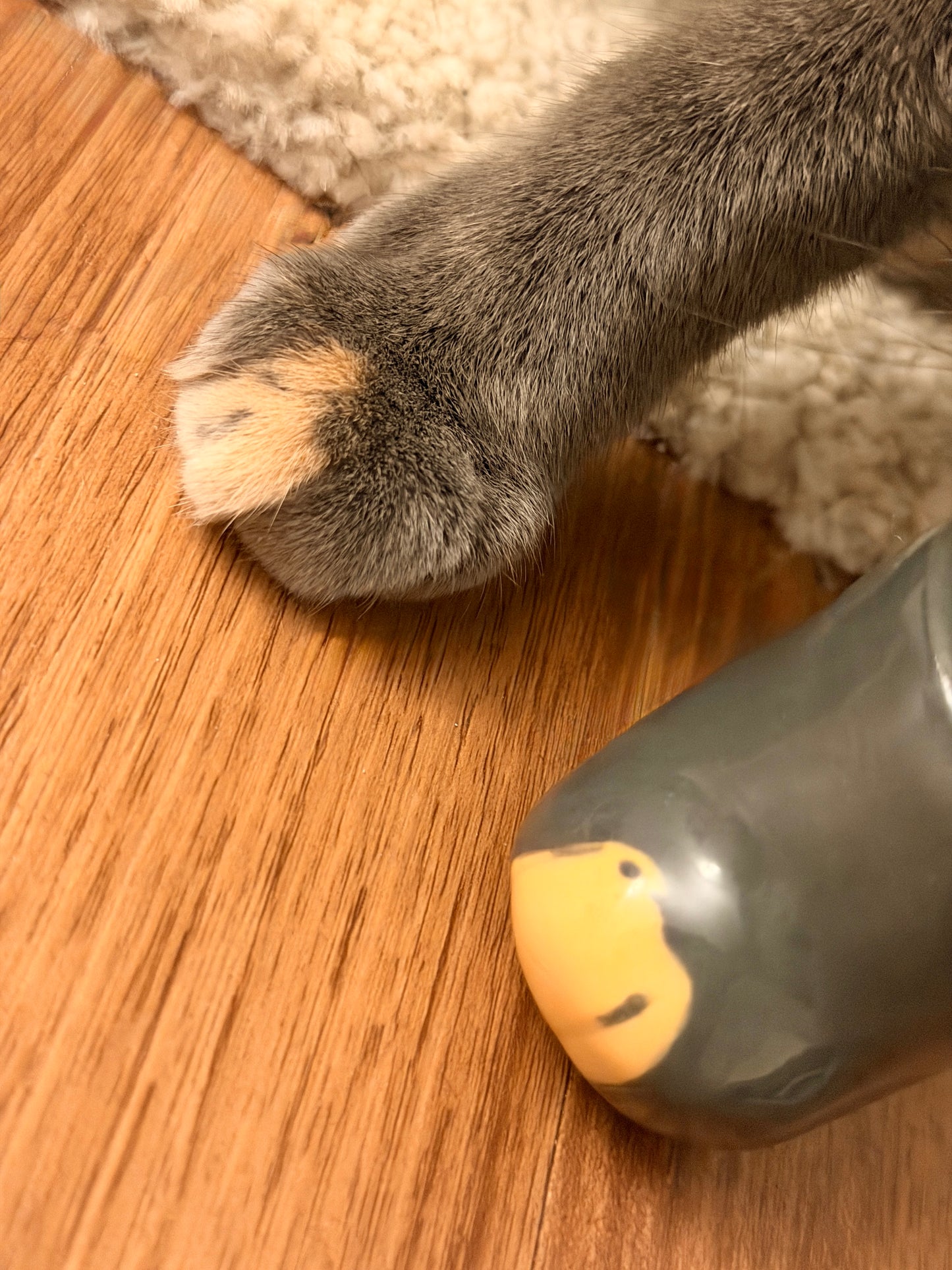 Purrsonal Customizations [PLEASE READ CAREFULLY]