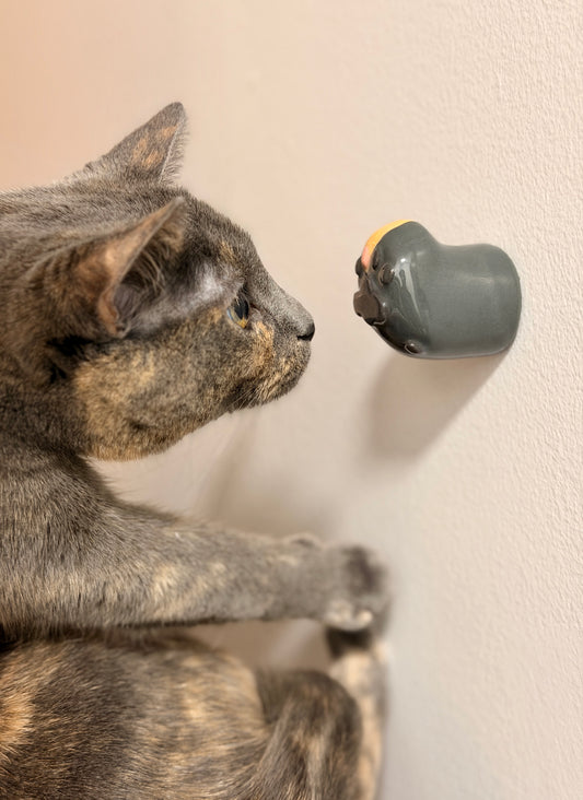 Purrsonal Customizations [PLEASE READ CAREFULLY]