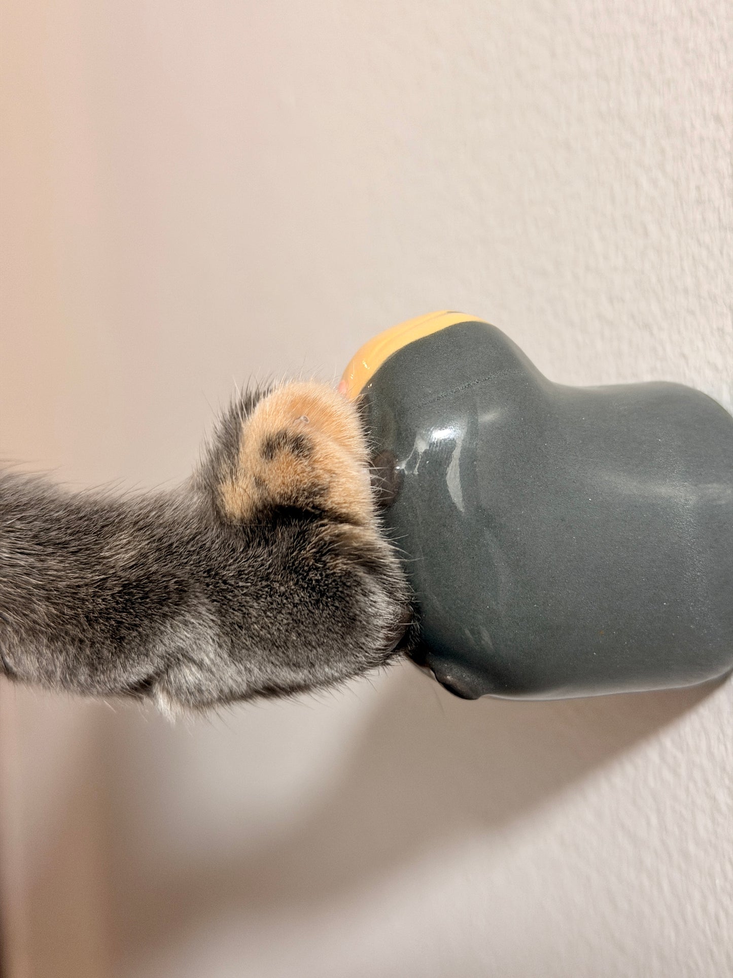 Purrsonal Customizations [PLEASE READ CAREFULLY]