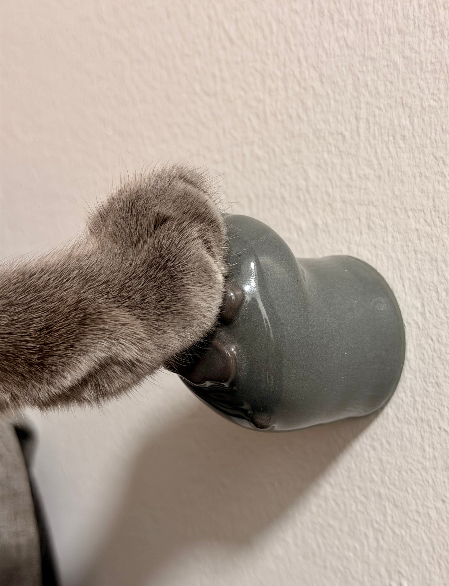 Purrsonal Customizations [PLEASE READ CAREFULLY]