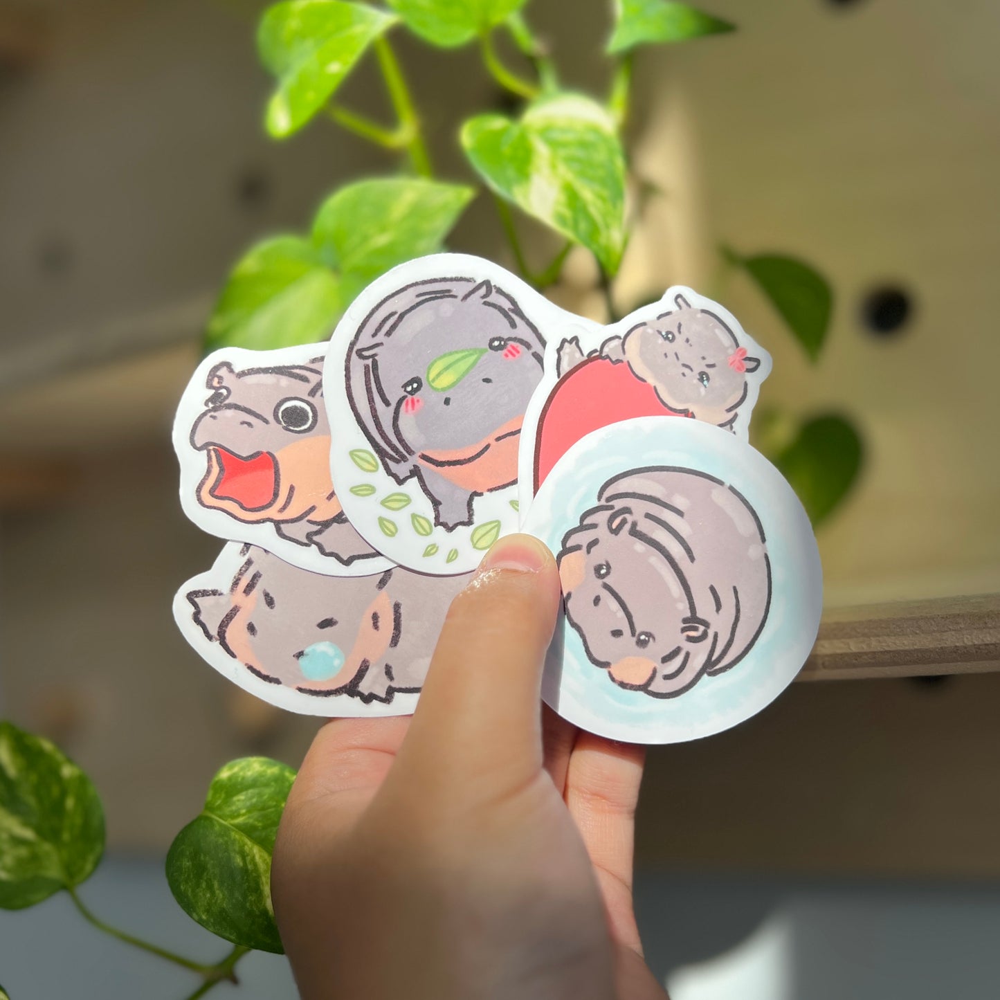 Moo Deng Stickies 🦛