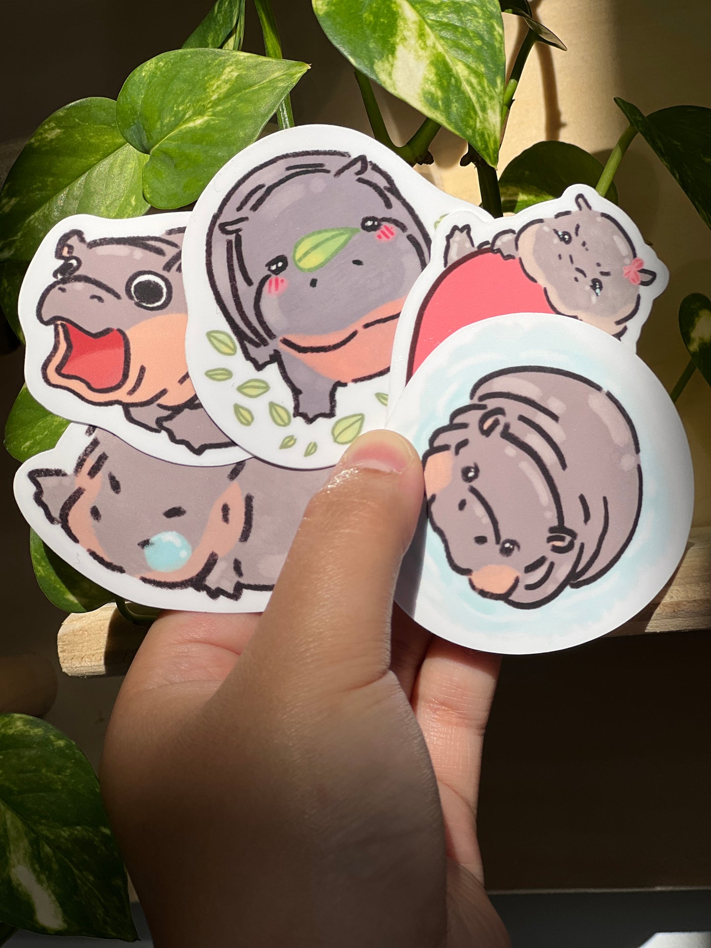 Moo Deng Stickies 🦛