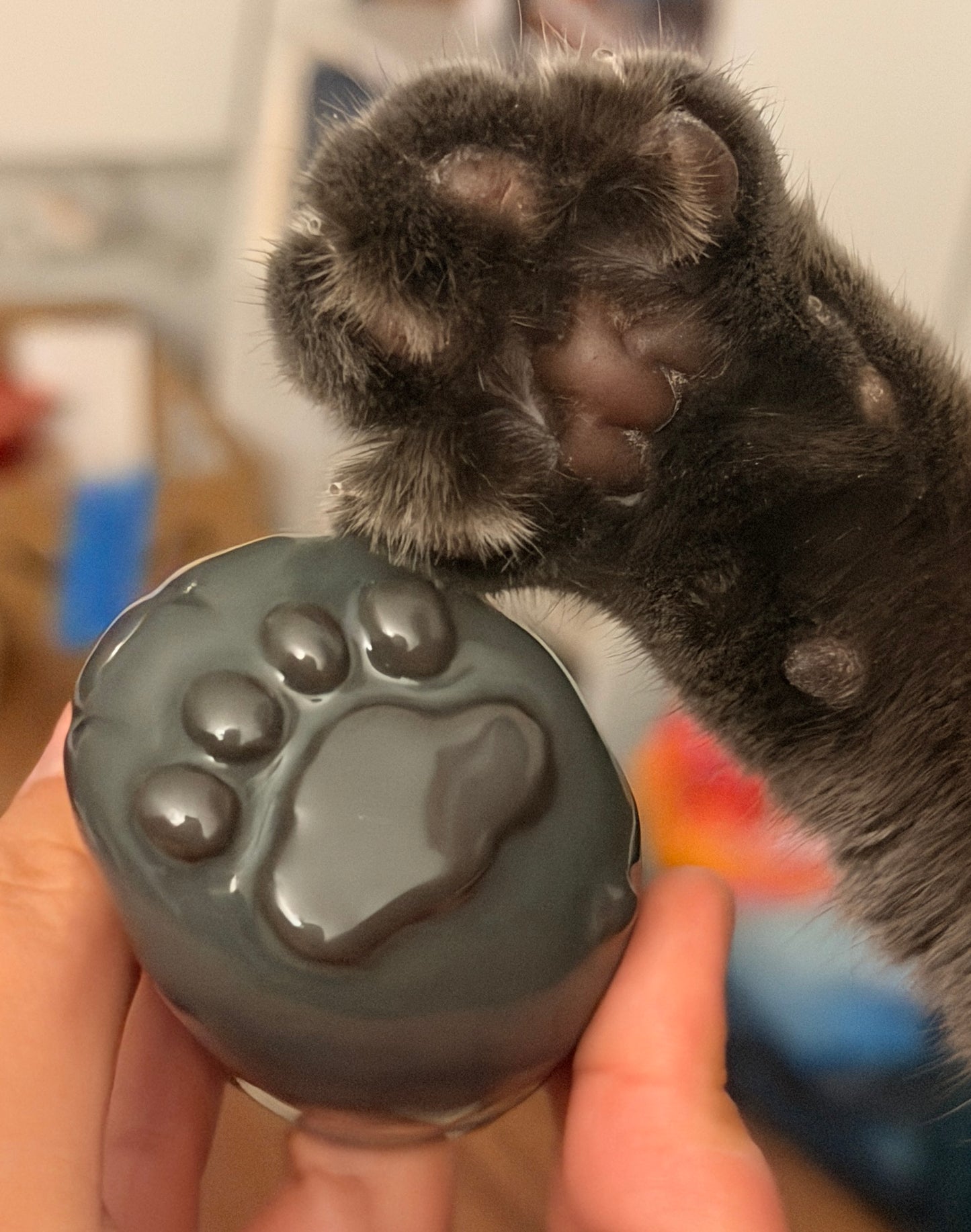 Purrsonal Customizations [PLEASE READ CAREFULLY]