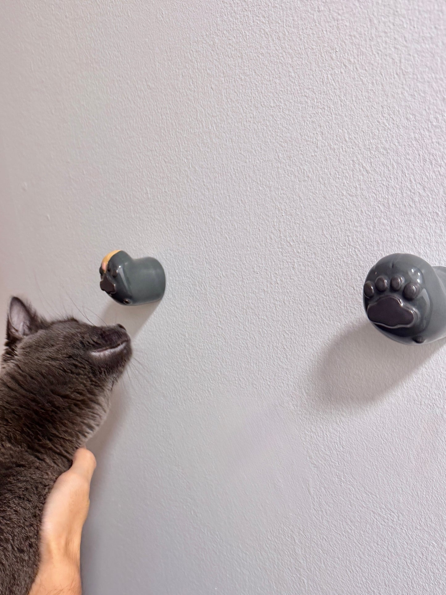 Mini Mittens [PRE ORDER]